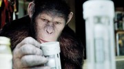 1324522827apes_a