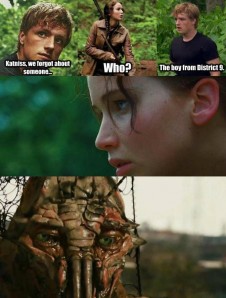 Top 5 Funniest Hunger Games Movie MEMEs, The NEW Hollywood Video