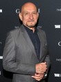 1337515229sir_ben_kingsley_a_p