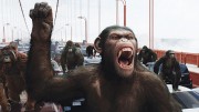 1350597637apes_a