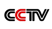 1355821225cctv_-_h_2012